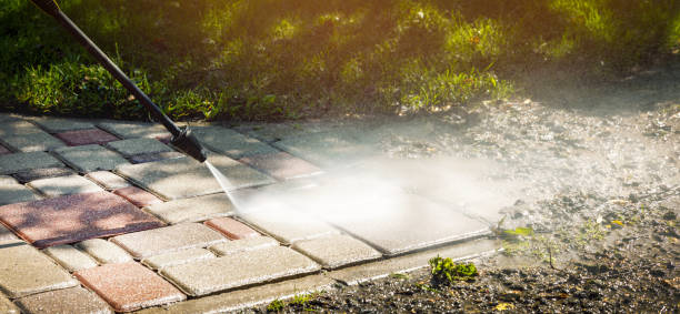 Best Pool Deck Cleaning in Lealman, FL